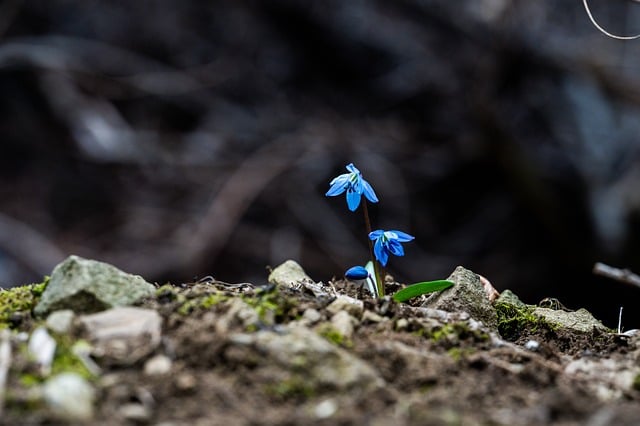 “10 Life-Changing Personal Growth Books to Unlock Your Potential”