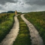 “Future-Proof Your Career: Top 5 Paths for Long-Term Success”