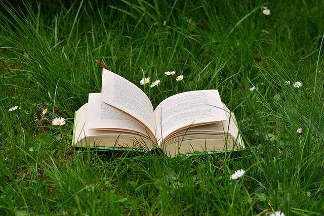 “Transform Your Life: Top Personal Growth Books to Read Now”